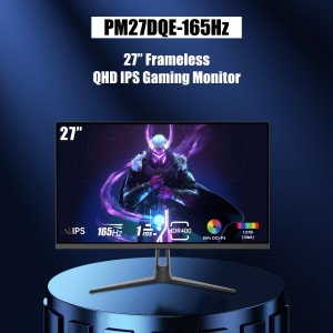 Model: PM27DQE-165Hz